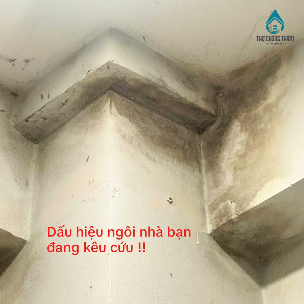 Nhà Bị Thấm Nước? Nguyên Nhân, Cách Xử Lý Triệt Để 2026